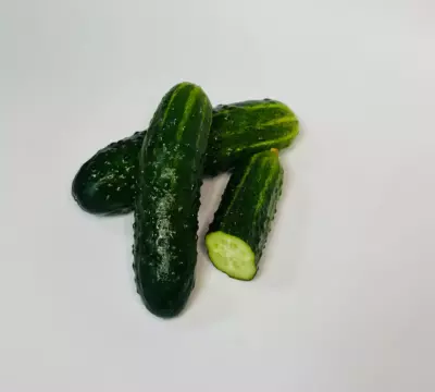 ОГУРЕЦ<br>"Мамлюк"