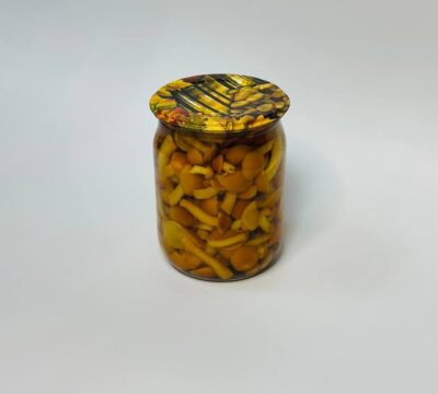 ОПЯТА