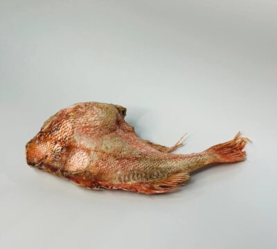 ОКУНЬ