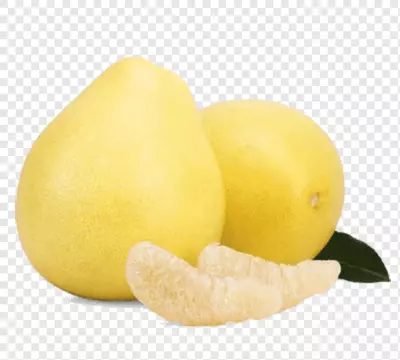 Помело